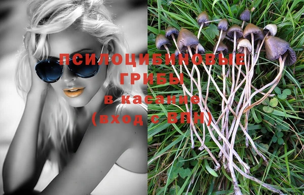 спиды Долгопрудный