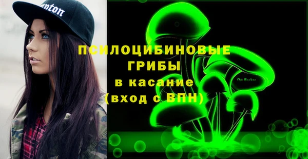 прущая мука Краснослободск